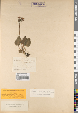 LE 01057136