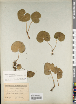 LE 01219197