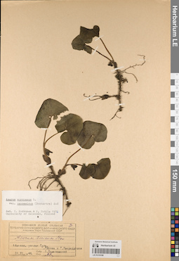 LE 01219198