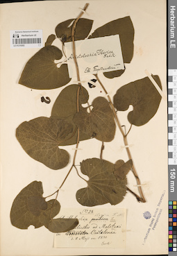 LE 01219202