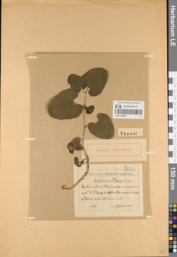 LE 01219207