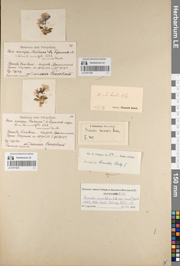 LE 01071436
