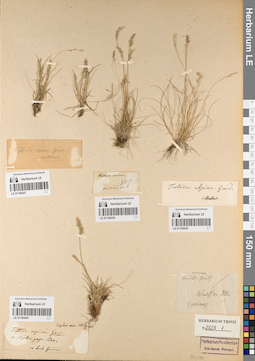 LE 01185439