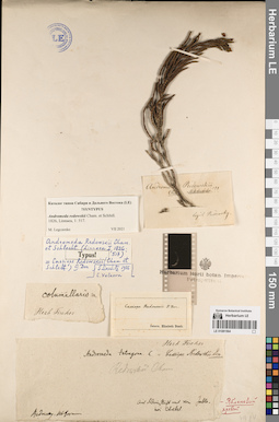LE 01081564