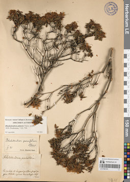 LE 01081570