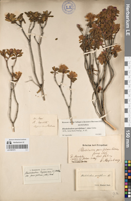 LE 01081573