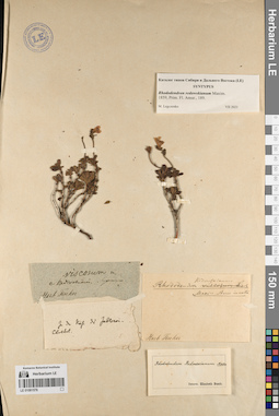 LE 01081578