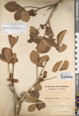 LE 01081584