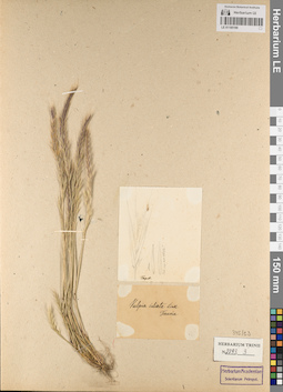 LE 01185190
