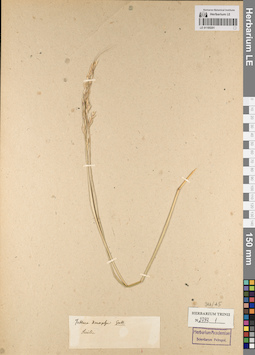 LE 01185201