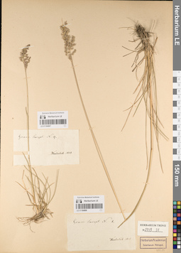 LE 01184868