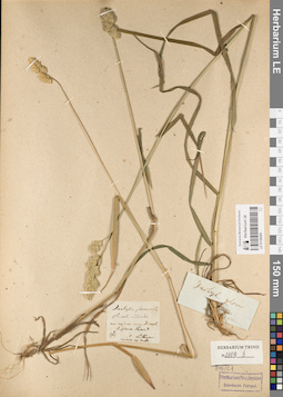 LE 01185291