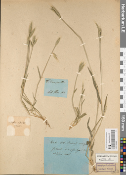 LE 01185988