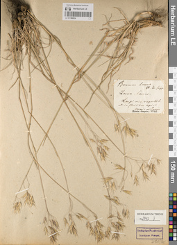 LE 01186024