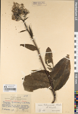 LE 01083237