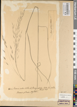 LE 01186316