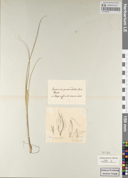 LE 01186318