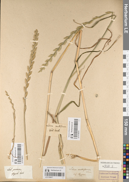 LE 01186475