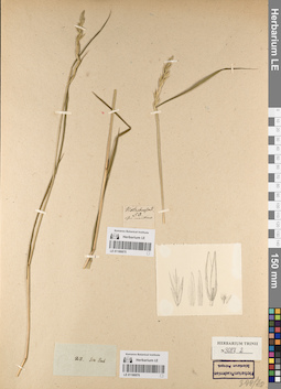 LE 01186875