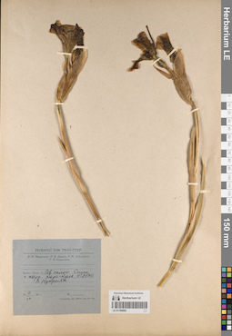 LE 01190092