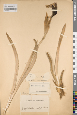 LE 01190108