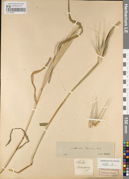 LE 01187042