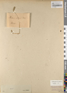 LE 01187064