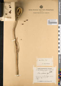 LE 01223066