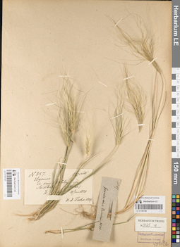 LE 01187128