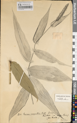 LE 01187187