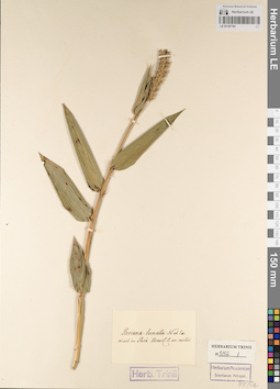 LE 01187191