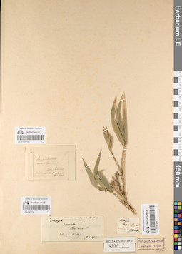 LE 01187219
