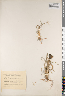 LE 01223191