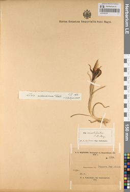 LE 01223197
