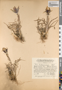 LE 01223204