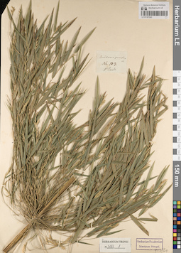 LE 01187243