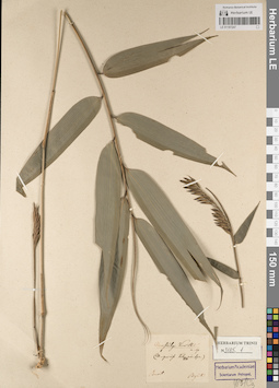 LE 01187247