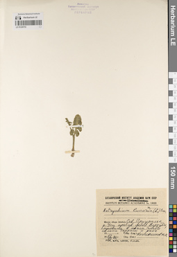 LE 01220753