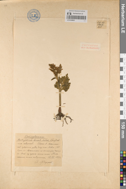 LE 01220825