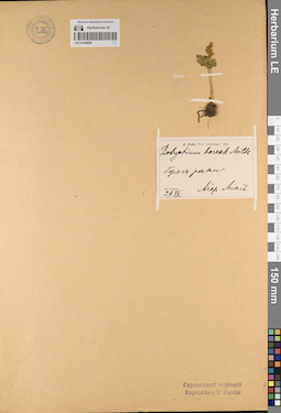 LE 01220826