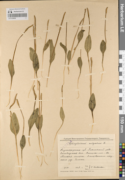 LE 01220830