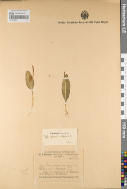 LE 01220833