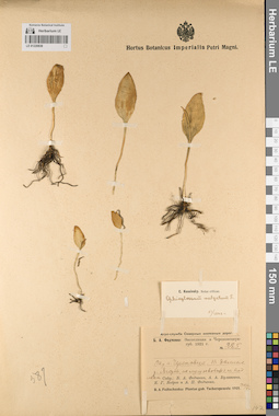 LE 01220838