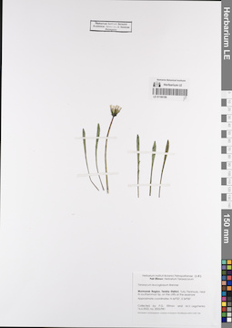 LE 01190189