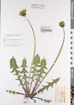 LE 01190199