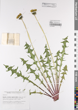 LE 01190340