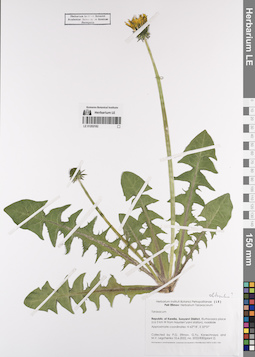 LE 01202182