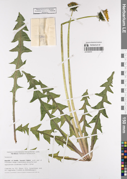 LE 01202191