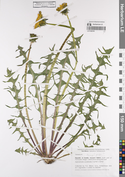 LE 01202193