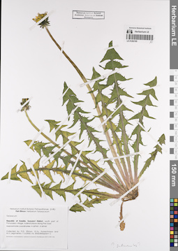 LE 01202195